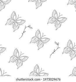 Floral line art seamless pattern. Flowers and butterfly seamless pattern. Line art herbs on a white background. Botanic elements texture.