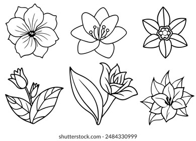 Floral Line Art Stunning Black and White Floral Illustration