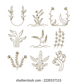 Floral Line Art Vector For Template Background