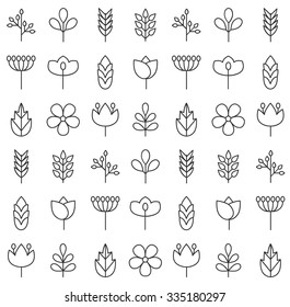 Floral line icons background