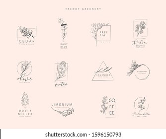 Floral logo and branch. Hand drawn wedding herb, plant and monogram with elegant leaves for invitation save the date card design. Botanical rustic trendy greenery vector illustration