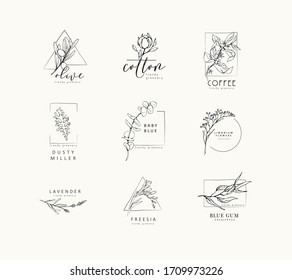 Logo floral et branche. Herbe de mariage dessinée à la main, plante et monogramme avec d'élégantes feuilles pour l'invitation à sauvegarder la conception de la carte de date. Illustration vectorielle botanique rustique et tendance