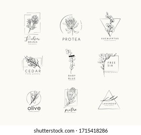 Floral logo and branch. Hand drawn wedding herb, plant and monogram with elegant leaves for invitation save the date card design. Botanical rustic trendy greenery vector illustration