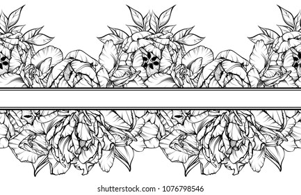 Floral magic symbolic art in boho style. Black and white vector seamless borders set. Ornate flowers, leaves illustration. Spirituality, alchemy, sacred geometry design element for invitation, tattoo
