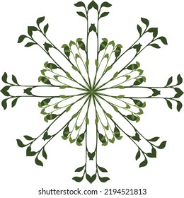 
floral mandala pattern for banner background etc