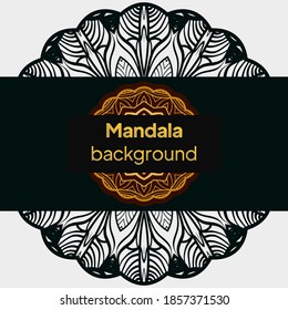 Floral mandala. Vector illustration. luxury wedding, beauty fashion concept, royal holiday party cards.