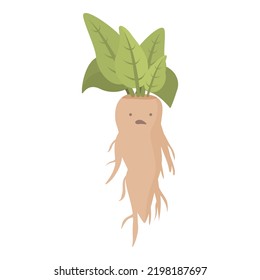 Floral mandrake icon cartoon vector. Mandragora root. Green plant