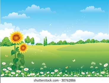 Floral meadow