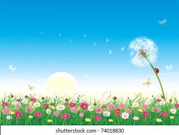 Floral meadow collection