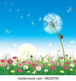 Floral meadow collection