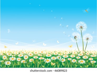 Floral meadow with dandelions