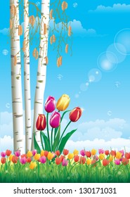 Floral meadow. Tulips