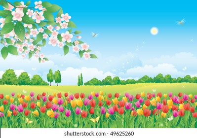 Floral meadow. Tulips