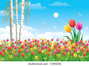 Floral meadow. Tulips