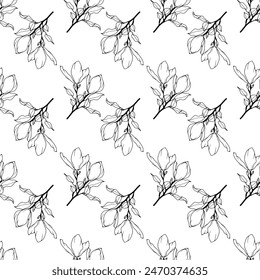 Vector floral minimalista en blanco y negro sin patrón con ramas, flores y hojas.  Impresión para ropa, papel de embalaje, cubiertas o fondos.