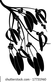 floral mistletoe vector illustration