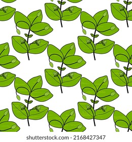 Floral, modern motif. Green-white vector illustration with texture. Spring design. Foliage, woodlouse plant, Chickweed