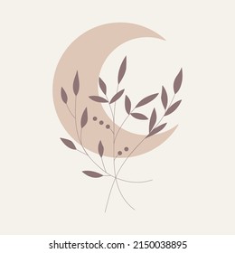 Floral and moon hand drawn style. Floral brown and white frame of twigs, leaves and flowers. Frames for the Valentine's day, wedding decor, logo and identity template.