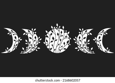 Floral moon phases. Minimal vector illustration.