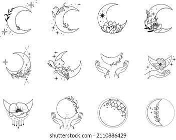 Floral moon vector bundle, delicate celestial designs for sublimation