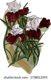 Floral motifs. Iris flowers. Spring bouquet. Gifts of nature