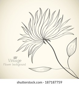floral nature background concept. Vector illustration 