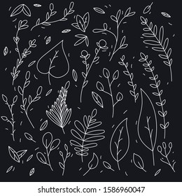 Floral, Nature, Background, Pattern, Decoration