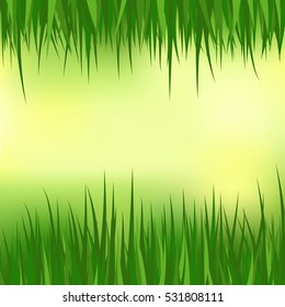 Floral nature background. Vector illustration grass frame