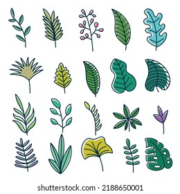 Elementos de naturaleza floral decoración ilustración vectorial para su empresa o marca