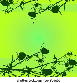 Floral nature pattern border vector illustration