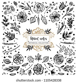 Colección botánica de notas florales. Flores, ramas y hojas. Elementos de diseño dibujados a mano. Ilustración vectorial de la naturaleza.