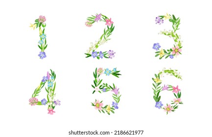 Floral numbers collection. 1,2,3,4,5,6 numerals made of spring meadow flowers and leaves vector illustration