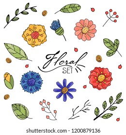 Floral objects isolated on white background