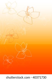  floral orange background vector