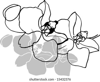 Floral orchid abstract. Vector.