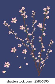 floral ornament.