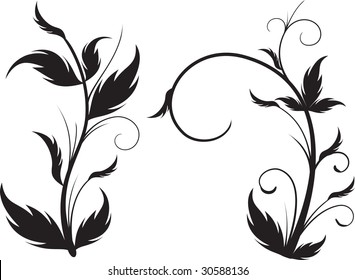 floral ornament