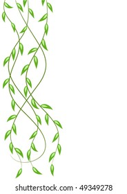 Floral ornament