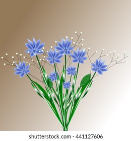 Floral ornament, beautiful background, vector