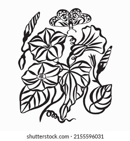 Floral ornament black and white. Drawing by hand with ink. Petunia flowers vector ornament
