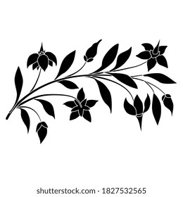 Floral ornament. Branch of nightshade plant. Botanical design. Black and white silhouette.