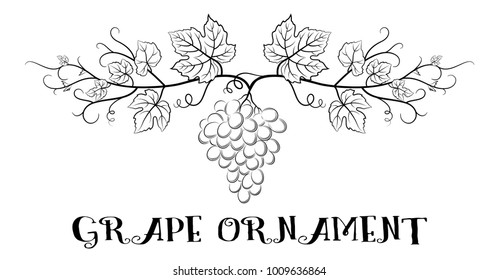 Floral Ornament, Bunch of Grapes with Leaves and Berries Black Contour Pictograms Isolated on White Background. Vector