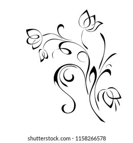 floral ornament with curls in black lines on a white background