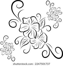 floral ornament decoration vector illustration