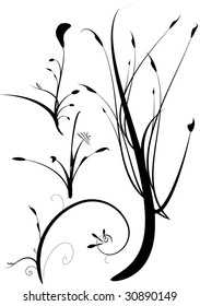 floral ornament elements collection isolated on white background