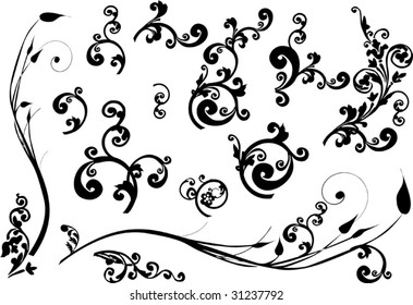 floral ornament elements collection isolated on white background
