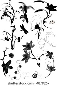 floral ornament elements collection isolated on white background