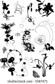 floral ornament elements collection isolated on white background