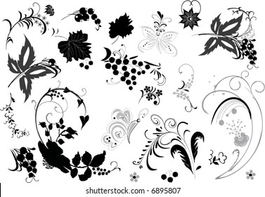 floral ornament elements collection isolated on white background