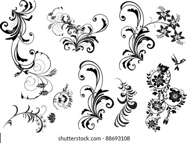 floral ornament elements collection isolated on white background